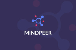MindPeer Web App Development