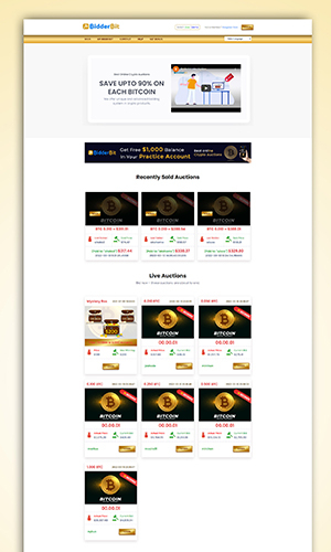 Bidding Auction Project Landing Page screenshot 1