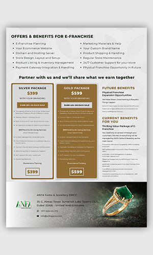 Anfa Jewellery Project Flyer Design screenshot 2