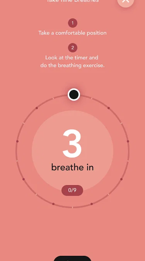 MindSummit screenshot 3