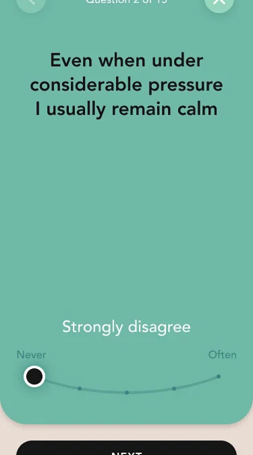 MindSummit screenshot 4