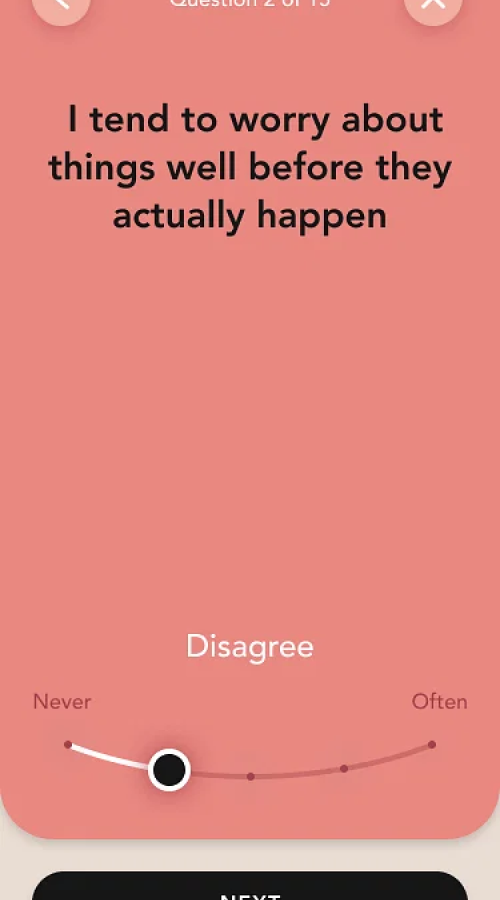 MindSummit screenshot 7