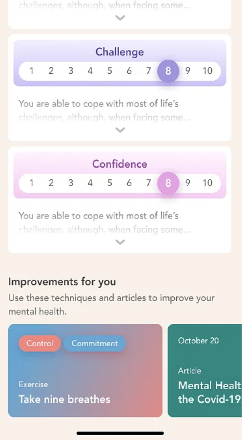 MindSummit screenshot 13