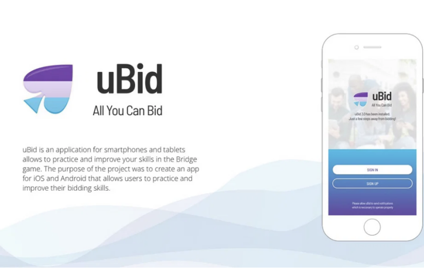 uBid screenshot 2