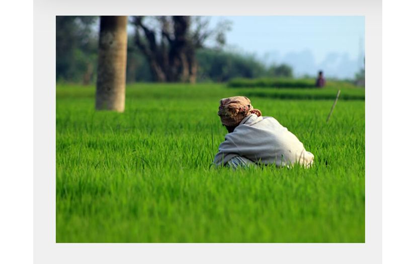 Provided HRIS (peopleDesk) solution to ifarmer screenshot 2