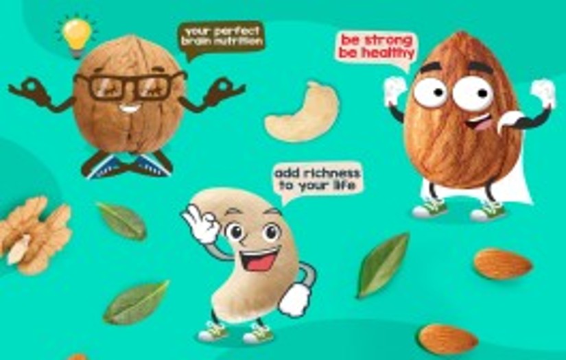 Shuddh Harvest - Dry Fruits Packaging Design screenshot 1