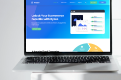 Ryzeo: B2B Ecommerce Email Automation Platform