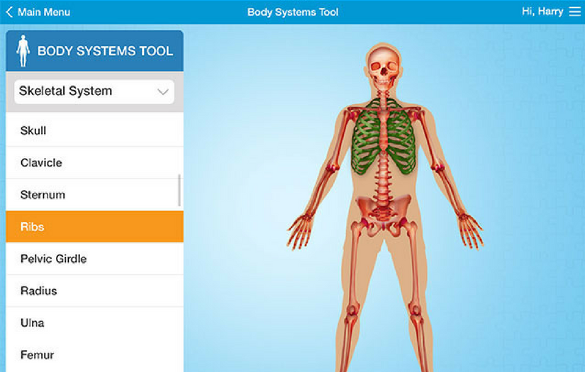 ExerciseBuddy - An iPad Based Visual Exercise System for Autism screenshot 6
