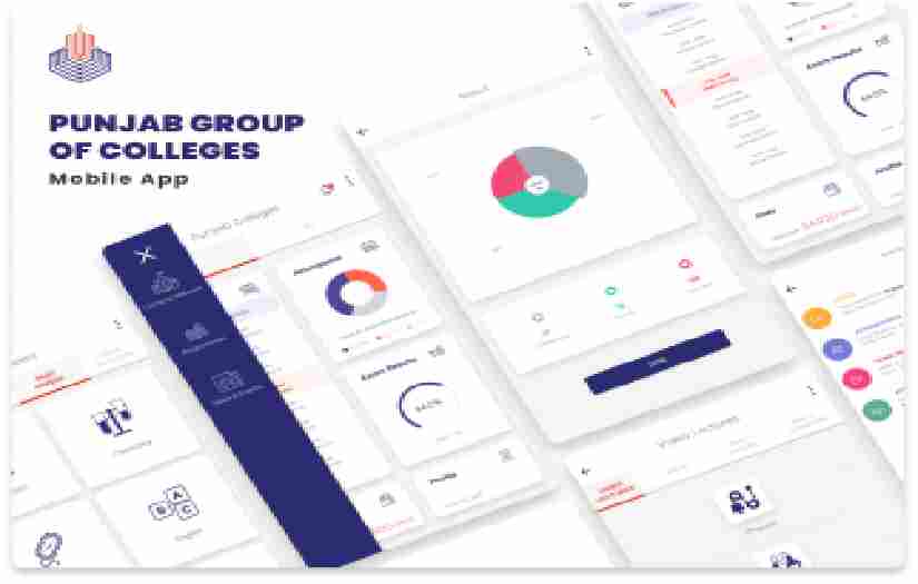 Punjab Group of Colleges screenshot 1