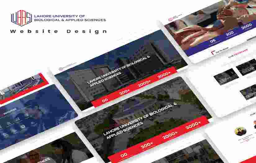 UBAS /Website Design screenshot 1