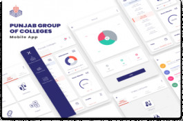 Punjab Group of Colleges