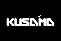Kusama /Blockchain