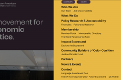 African-American Alliance