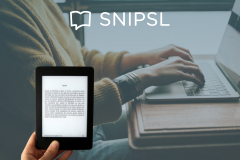NEW SALES SYSTEM FOR Snipsl Media GmbH
