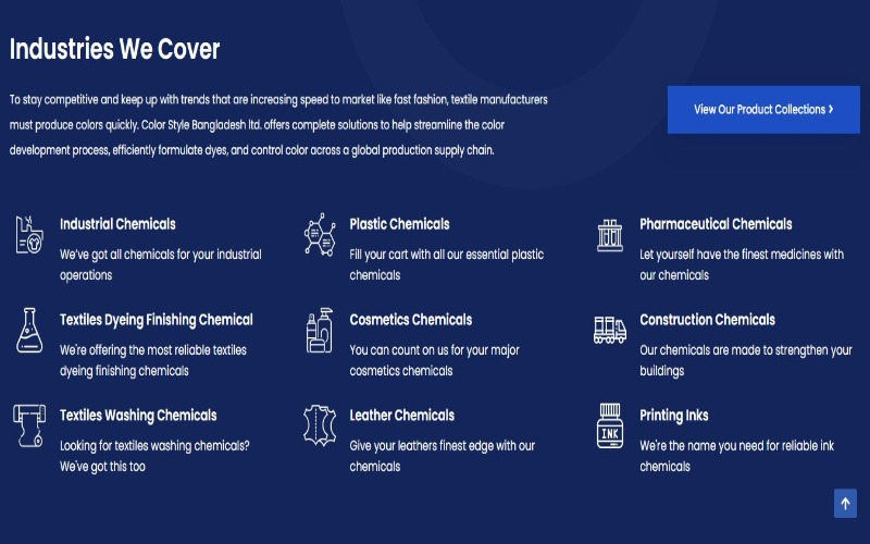 Color Style BD's Web Design with Creatibuzz LLC screenshot 2