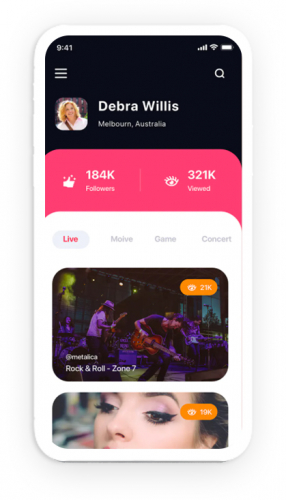 Video Blogger screenshot 1