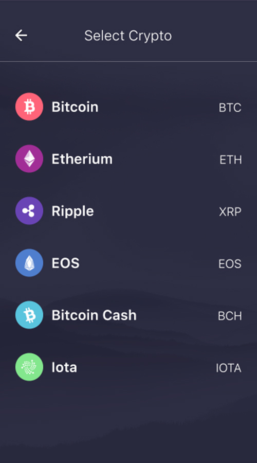 Cryptocarrency wallet screenshot 2
