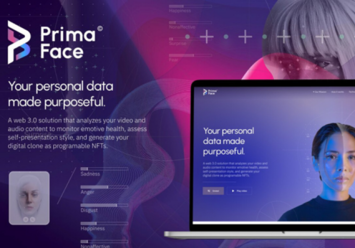 Web Solution - Primaface screenshot 1