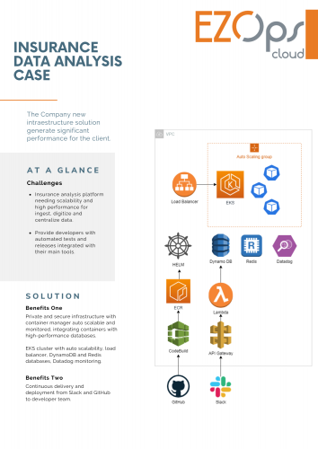 Insurance Data Analysis System Case screenshot 1