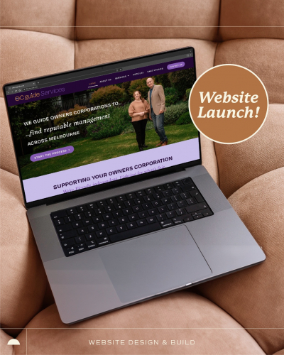 Professional Services Website screenshot 1