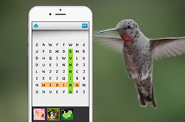 Bitsboard