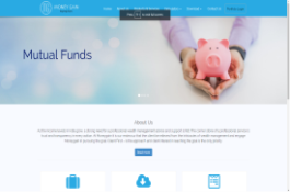 Wealth management software