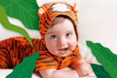 PHOTOS WITH ZEBRAS AND TIGERS