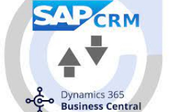 Custom App Development for CRM and Business Central Integration for a Financial Service Provider Organization