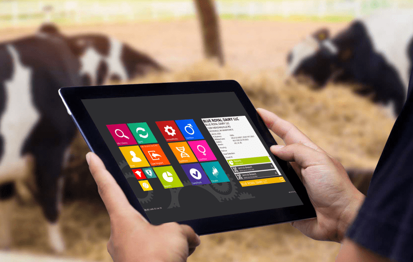 Solutions for cattle breeding screenshot 1