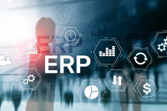 ERP System Development