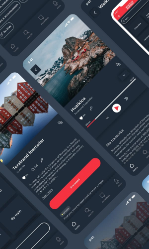 Voice of Norway screenshot 1