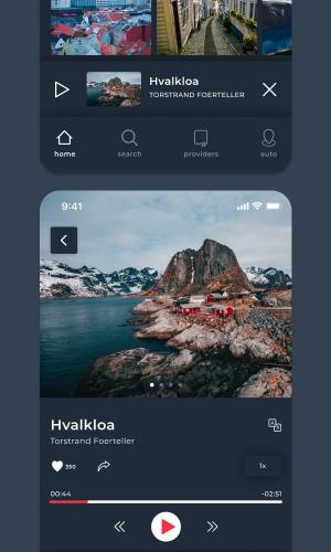 Voice of Norway screenshot 4