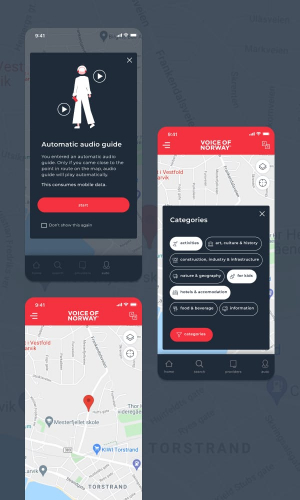 Voice of Norway screenshot 2