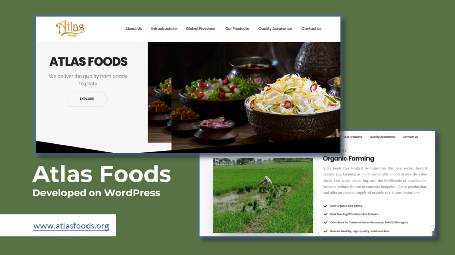 Key Websites Delivered screenshot 3