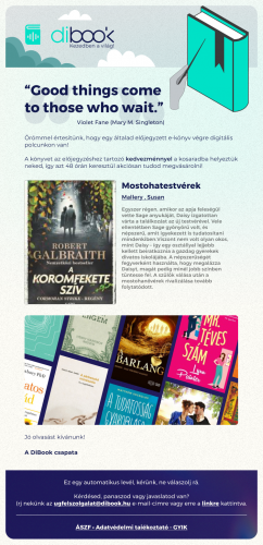 DiBook e-book webshop development screenshot 4