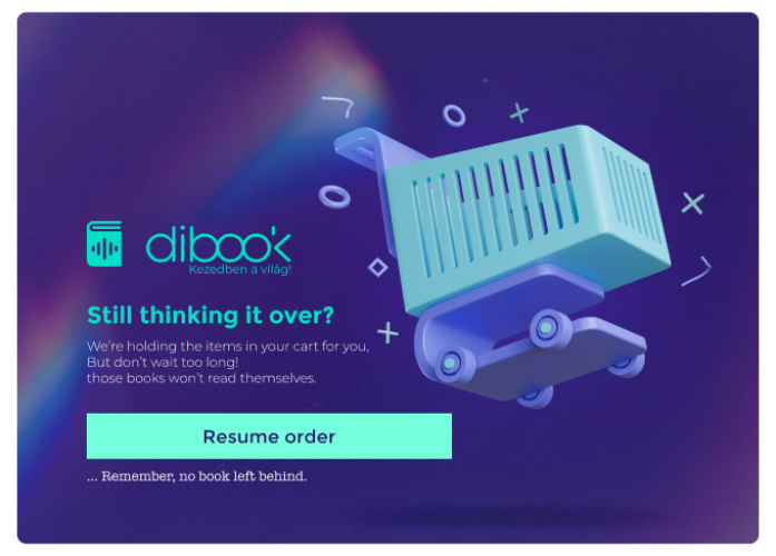 DiBook e-book webshop development screenshot 3