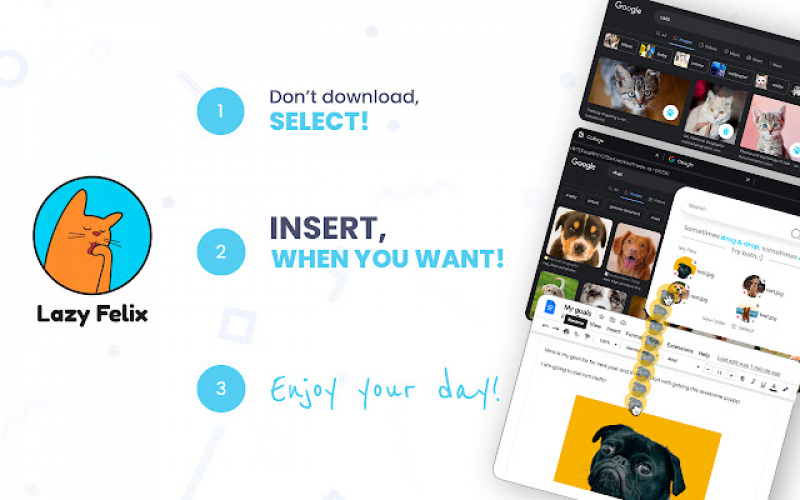 Lazy Felix browser add-on development screenshot 3