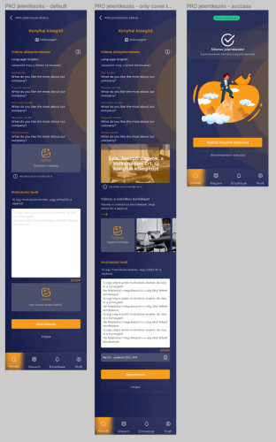 Development of JobRecord job search portal screenshot 2