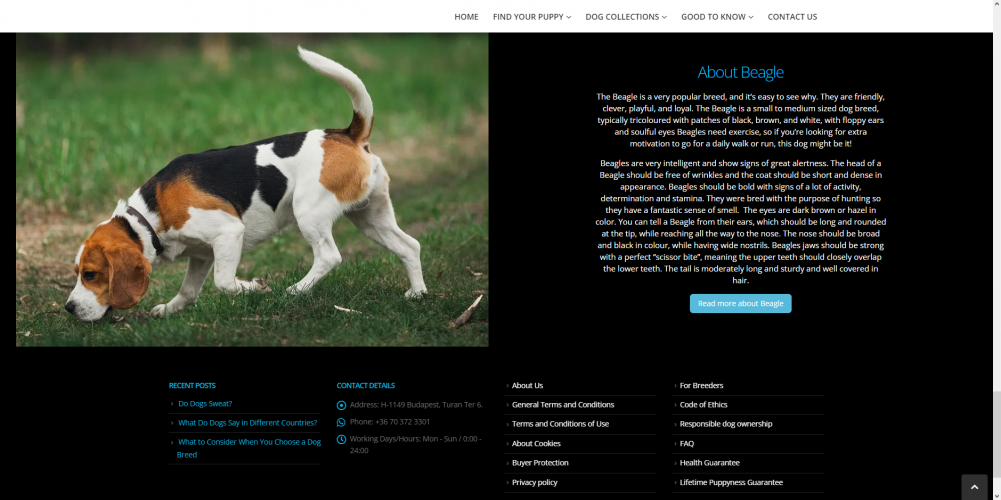 NewDoggy dog sales and business management system screenshot 1