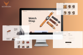 Berreri.com - Magneto 2 Development