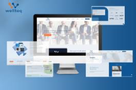 Wellteq.co - Wordpress Development