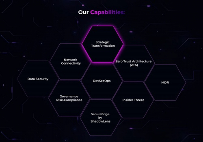 ShadowLens (B2B Website) screenshot 3