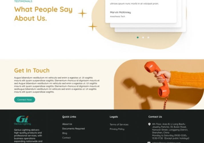 Genius Lighting (E-Commerce Website) screenshot 1