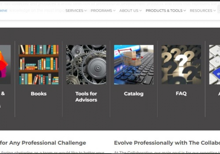 The Collaborative (E-Learning Platform) screenshot 2