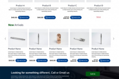 Echoice (E-commerce Website)