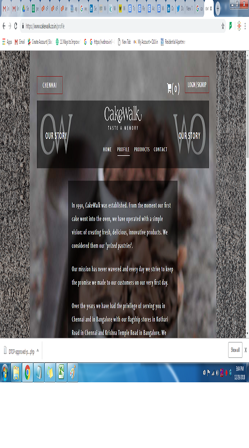 e-commerce website screenshot 2