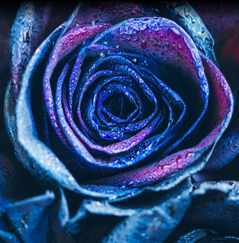 TCL Mobile screenshot 2