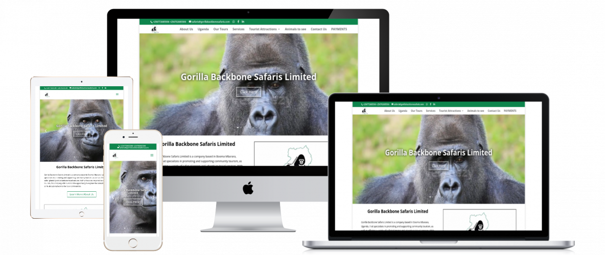Gorilla Backbone Safaris screenshot 5