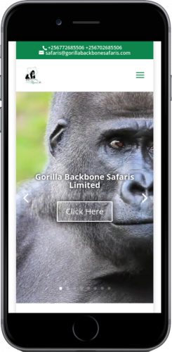 Gorilla Backbone Safaris screenshot 3