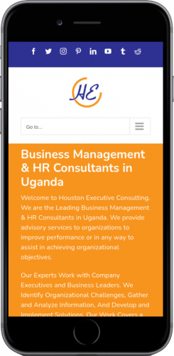 Houston Executive Consulting screenshot 3